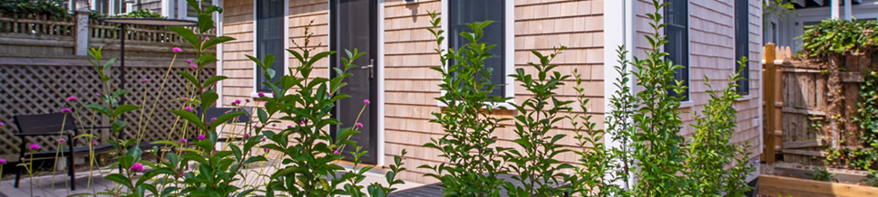 Wellfleet Landscaping